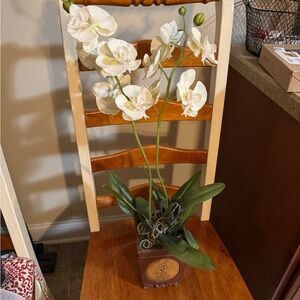 Elegant Cream Orchid Arrangement